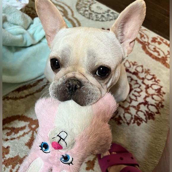 Jeanine (Real simple deals) - Picture 4 of 5